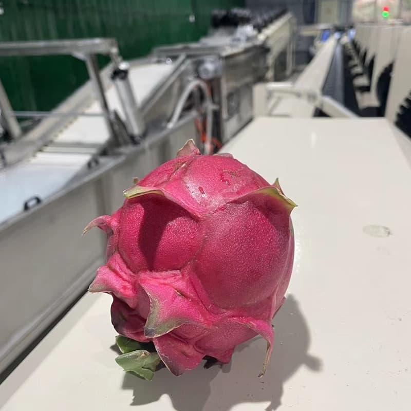 images/1657879401863dragon fruit classifier.jpg